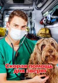 Скорая помощь для зверят (2020)