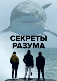 Секреты разума (2021)