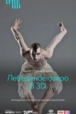 Мэтью Борн: Лебединое озеро 3D (2012)