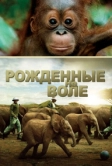 Рожденные на воле (2011)